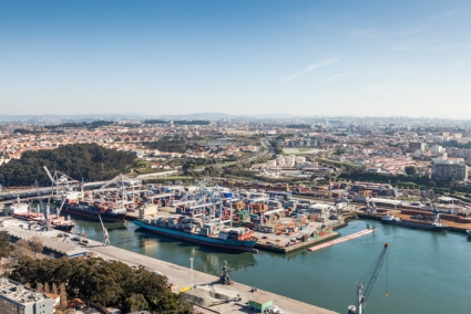 11 SHIPS OPERATED IN ONE SINGLE DAY